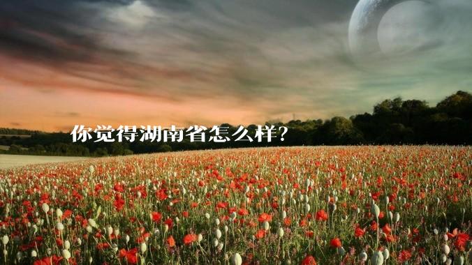 你觉得湖南省怎么样？